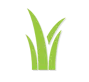 Grass blades